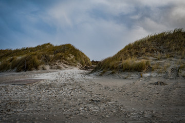 Strandsparziergang im Dezember