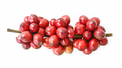 close up of fresh coffee beans isolated on white background