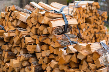 잘려진 장작더미들