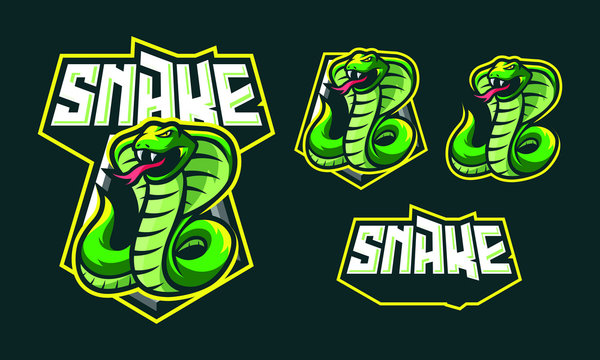 Snake mascot logo design for sport/ e-sport logo design isolated on dark background