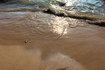 Beach idyll, sand and stones, bright sun glare on the waves