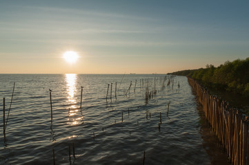 Sunset at Bangpoo, Thailand