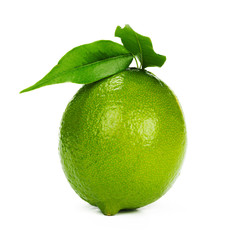Lime citrus fruit isolated on white background