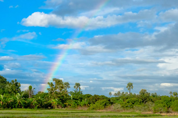 Obraz premium Rainbow over field in Thailand