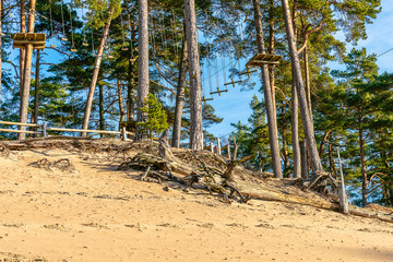 Amusement park in a pine forest. Great outdoor activities for people of all ages. Obstacle courses.