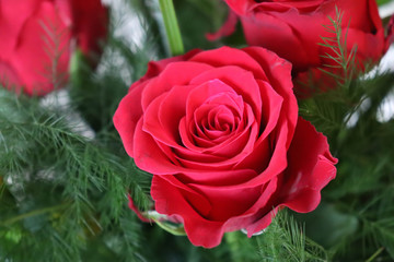 red rose in a bouquet of flowers
