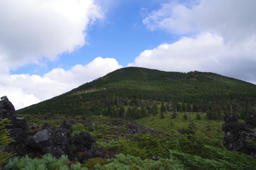 Obraz premium 八ヶ岳坪庭