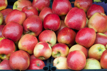 apples packed and ready for sale at the market