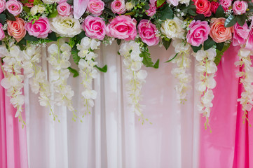 beautiful flower background, colorful nature