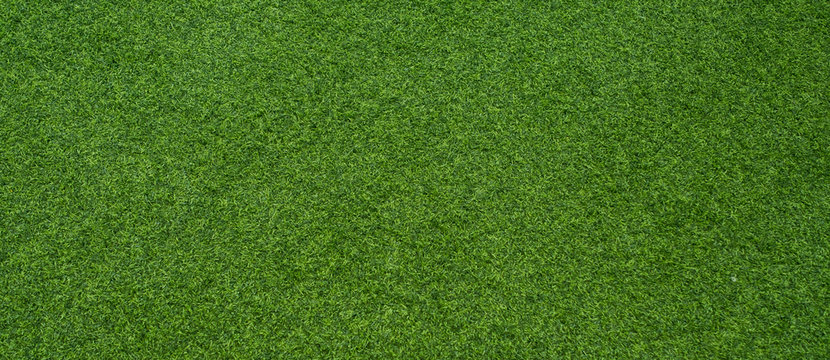 green grass background, football field © waranyu