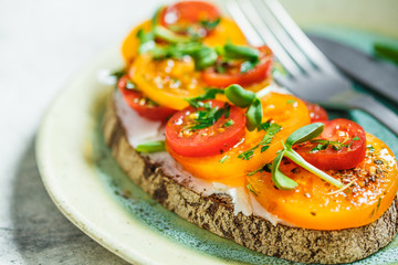 Toast with cheese and tomato slices on plate. Vegetarian food concept.