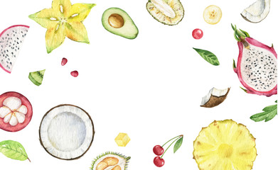 Watercolor vector hand painted card of exotic fruits.