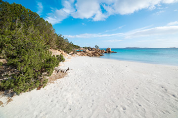 Sandy Beach On The Island Of Sardinia. Beautiful Scenery And Landscape With Turquoise Ocean