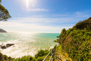 Fototapeta premium Path on the Seaside with Plants and Mediterrenean Sea in Sestri Levante, Italy.