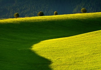Obraz premium meadows and fields in the Liptov region, below the Tatras