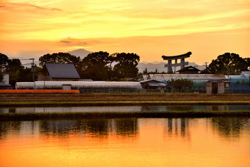 Fototapeta premium 夕焼けで茜色に染まる寒川田園風景