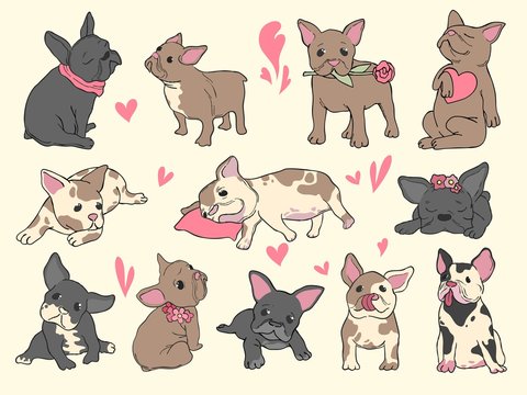 French bulldog puppy. Domestic pet playing sitting jumping hand drawn fashion sketch pictures. Pet puppy, animal bulldog, doggy playing illustration