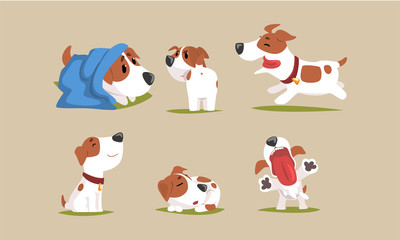 Cute Beagle Dog in Various Poses Collection, Funny Purebred Pet Animal Cartoon Character in Different Situations Vector Illustration