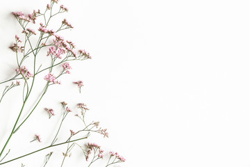 Bloemen samenstelling. Roze bloemen op witte achtergrond. Platliggend, bovenaanzicht