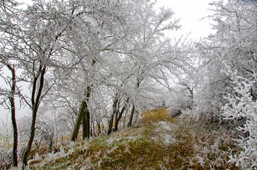 romantische Winterlandschaft