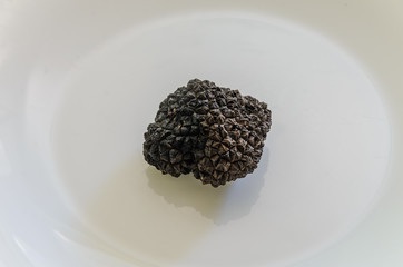 Raw black truffles on a plate