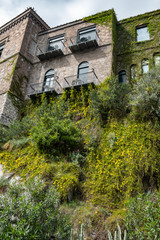 Sorrento Coast Flowers