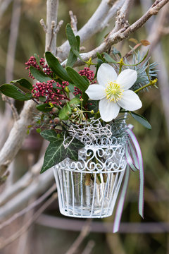 kleiner Blumenstrauß mit Christrosen-Blüte, Mistel und Skimmia japonica