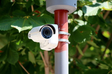 Small modern white closed circuit TV CCTV camera mounted on street lamp strong metal pole in front of dense leaves in local public park