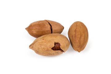 Ripe whole pecan nuts on a white background