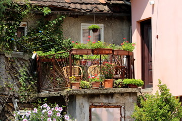 Tiny suburban family house backyard with terrace filled with flowers and other plants surrounded with metal fence and old dilapidated house walls