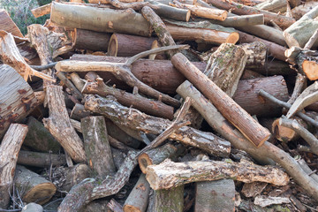 Fototapeta premium The pile of wood