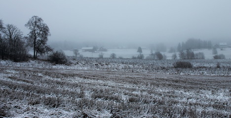 Landscape in winter