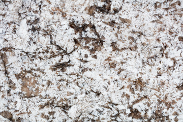 Natural granite background in unique white tone. High quality texture.