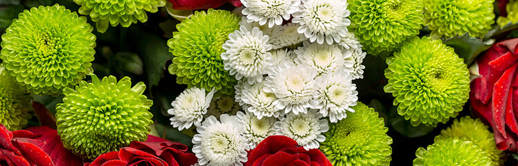 Bouquet of roses and chrysanthemums close up. Beautiful flower background. Floral backdrop. Panoramic banner.