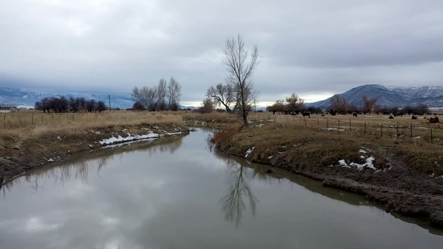 Aerial-Flying low along slow moving winter stream with bare tree reflecting in the water on an overcast gray winter day with far distant mountains