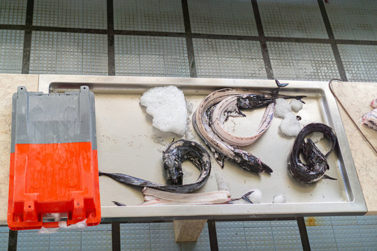 Fresh black scabbardfish on the fish market