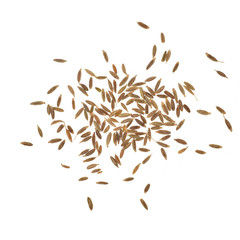 close up of cumin seeds isolated on white background