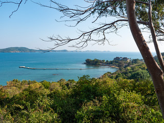 A wooden pier in a small harbor