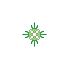 Fototapeta na wymiar Vector illustration of cannabis leaves green with white background