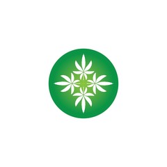 Vector illustration of cannabis leaves green with white background