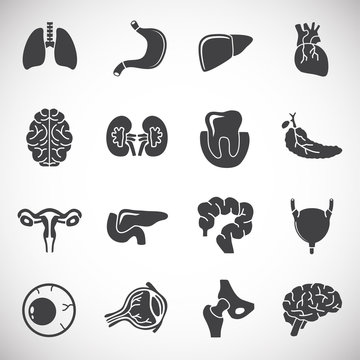 Human organs related icons set on background for graphic and web design. Creative illustration concept symbol for web or mobile app