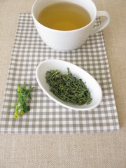 A cup of tea with dried hedge mustard