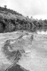 monochrome rock in the river