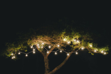 Retro tent with a retro garland on a tree, a fire in the forest, photos at night a lot of noise