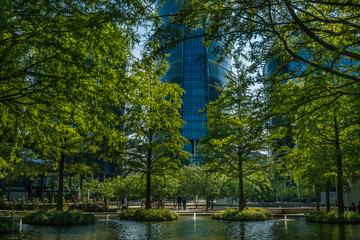 zielony park przy placu europejskim w Warszawie w tle szklany wierzowiec - obrazy, fototapety, plakaty