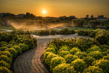 Obraz premium Złoty zachód słońca na dachu Ogrodów Uniwersytetu Warszawskiego
