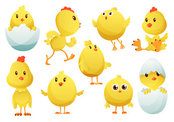 Cute cartoon chicken set. Funny yellow chickens in different poses, vector illustration. Collection of cute yellow chicks. Vector illustration of little chickens for children