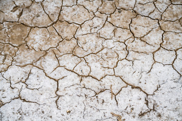 Terre aride noir et blanc