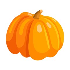 Pumpkin vegetable icon isolated on white background. Vector illustration