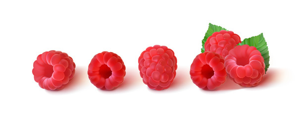 collection of ripe raspberries with leaves isolated on a white background